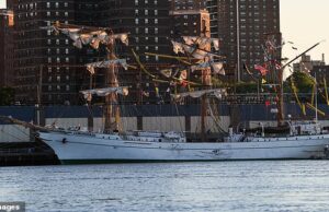 Brooklyn Bridge Ship Crash porque dois marinheiros da Marinha do México foram publicados pela polícia após a morte