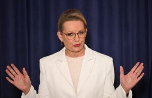 Na caverna para exigir cidadãos políticos como liberais