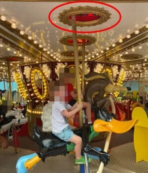 98633447-14737643-The_12_year_old_boy_was_standing_on_the_back_of_the_Wile_E_Coyot-a-11_174788754533.jpeg