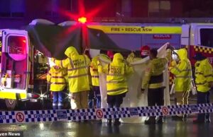 Veterana, 95 anos, foi atingida em Liverpool e morreu na corrida – um motorista foi preso com a prisão