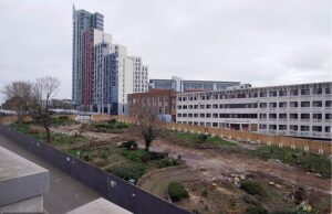 O ‘Massacre de Chainnso’ que viu que 5 árvores foram cortadas na calada da noite no centro da cidade, para não ligar para o conselho de pelo menos US $ 1,5 milhão.