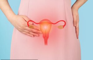 O número de estudantes que caem no trabalho do HPV é GA, à medida que o risco de câncer uterino aumenta