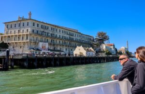 Reunião em Alcatraz? Esses pássaros brilhantes valem a pena admissão