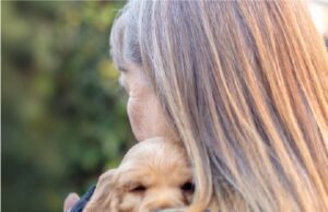 Notícias de Milk em Junho de Adapt-A-Pet em todo o estado para junho para junho para junho