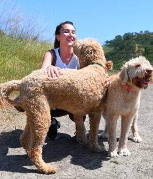 SJM-L-DOGFEVER-0504-02.jpg