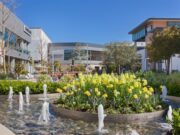 Hillsdale Mall Reconstrução ambiental – The Mercury News