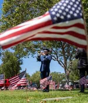SJM-L-SJMEMORIAL-0531-8_98231631.jpg