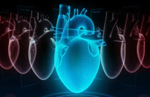 Cerca de 200.000 pessoas revelam a verdadeira chave para a saúde do coração