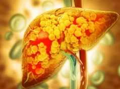 Cientistas descobriram um composto intestinal que ajuda a proteger o fígado