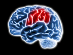 Cientistas descobriram a fonte oculta do cérebro que alimenta a demência