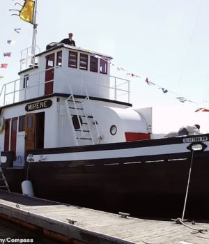 103350695-15230763-Stewart_Brand_87_lived_aboard_his_stunning_houseboat_Mirene_for_-a-143_1761590314.avif