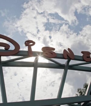 OCR-Z-CHARTER-DISNEY.jpg