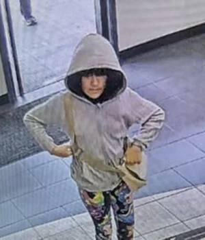 Search_for_missing_9-year-old_centers_on_road_trip_with_mother_who_police_say_is_8216uncooperative82.webp