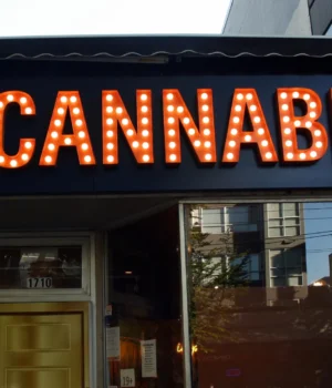 cannabis-store-sign.webp.webp