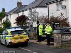 Teme que o cão que matou o bebê de nove meses tenha sido assustado por fogos de artifício – enquanto a polícia investiga se era uma raça proibida