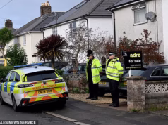 O cachorro que matou o bebê de nove meses era um valentão XL que foi registrado antes da entrada em vigor da proibição