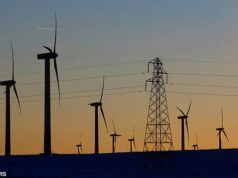 Planos para mais de 160 quilômetros de túneis “monstruosos” na zona rural mais pitoresca da Escócia podem levar à “perda de 54%” da biodiversidade