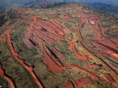 Alerta urgente: a indústria australiana de US$ 113 bilhões corre o risco de ser exterminada