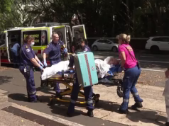 Cachorro ataca blocos de apartamentos enquanto pessoas lutam por suas vidas e a polícia é forçada a usar escudos antimotim para proteção