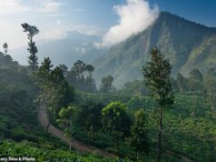 Um pai britânico morreu enquanto comemorava o 34º aniversário de sua filha no topo de uma montanha no Sri Lanka