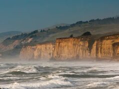 Mulher de 26 anos que caiu de um penhasco e matou passageiro do sexo masculino, 29, ofereceu acordo judicial