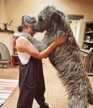 103585955-15258053-KT_Tunstall_is_dwarfed_by_one_of_her_huge_Irish_wolfhounds_as_it-a-115_1762279301.avif