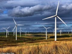 Agora, os gigantes da energia verde juntam-se às empresas de petróleo e gás na tomada de medidas para evitar perdas massivas de empregos