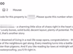 Leia listagens de imóveis brutalmente honestas enquanto os proprietários se tornam desonestos para revelar a ‘novela da vida real’ no complexo residencial