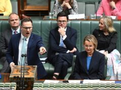 ‘Por favor, não use essa palavra’: tumulto no parlamento sobre o abuso ‘totalmente inaceitável’ do liberal Jim Chalmers