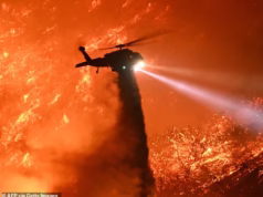 Falha irritante que permitiu que um incêndio mortal varresse Palisades, revelada em um relatório desgraçado do LAPD