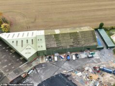 Indignação com a aprovação dos planos para construir três quadras de paddle na pitoresca vila de Hampshire