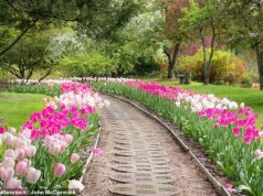 Um pitoresco reduto republicano duas horas ao norte da distopia Detroit, Michigan, foi declarado o melhor lugar para se aposentar em 2026.