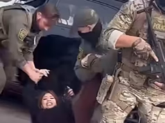 Agentes do ICE bateram no carro da paralegal americana âenquanto ela dirigia para tomar cafĂ©â… e entĂŁo a arrastaram para fora e a seguraram por horas