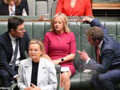 ‘Zero líquido até 2050’ é uma besteira total. Mas opor-se a isso é opor-se à paz mundial: Peter van Onselen