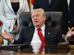 Rebeldes do Partido Republicano apoiam a libertação de Epstein, aliados de Trump lançam ‘táticas malucas’ para vencer o presidente