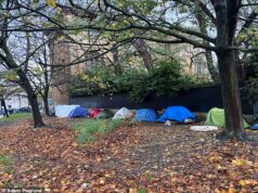 A favela de migrantes aparece em frente a uma das casas mais emblemáticas de Londres, de propriedade do bilionário duque de Wellington.