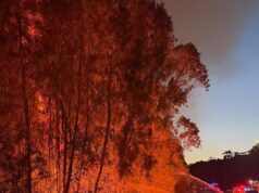 Um alerta de incêndio florestal foi emitido para residentes da costa sul de NSW – já que perigo extremo de incêndio foi declarado em outras partes do estado