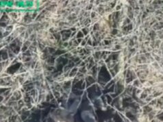 Demorou apenas 20 minutos para a Ucrânia retaliar contra a Rússia com um ataque de drone depois que os prisioneiros de guerra foram mortos a tiros