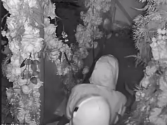 Ladrão é preso por supostamente fazer sexo enquanto roubava restaurante