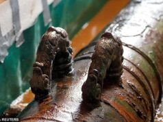 Primeira peça no valor de US$ 20 bilhões recuperada do naufrágio do ‘Santo Graal’ de 300 anos na Colômbia