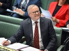 O mega acordo de Albo com os verdes compensa: leia a resposta cuidadosamente redigida do ministro sobre o custo médio do ácido