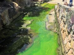 Águas verdes brilhantes chocam os nadadores nas praias populares de Sydney – conforme relatórios revelam as praias mais sujas e limpas da cidade