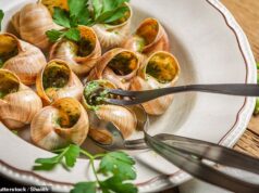 Em estado de choque: ladrões roubam 90.000 euros em finos caracóis franceses destinados ao melhor restaurante do país no Natal