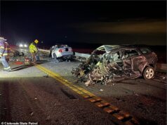 O longo histórico criminal de ‘Carjacker’ foi exposto depois que ele causou um acidente horrível que matou pai e 3 filhos