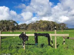 Uma busca massiva está em andamento por um mergulhador desaparecido e um homem preso entre rochas