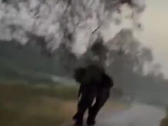 Momentos relâmpagos de elefantes selvagens para um safári de férias na selva no sul da Índia