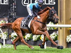 Melbourne Cup: a famosa corrida de cavalos da Austrália vencida pela Half Yours