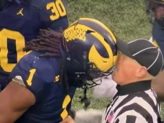 Domingo de manhã chegando // Semana 14