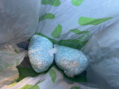 Suposto associado do cartel Jalisco New Generation acusado de apreensão de fentanil