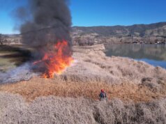 A exposição ‘Good Fire’ em Oakland mostra práticas de manejo de terras nativas